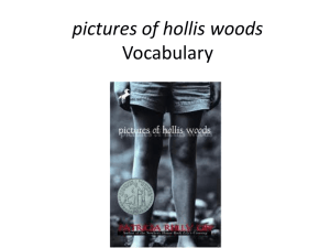 pictures of hollis woods Vocabulary