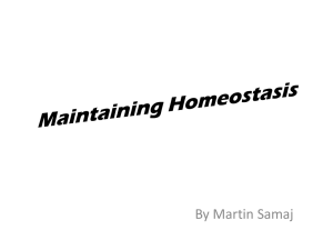 Homeostasis: Maintaining Internal Balance