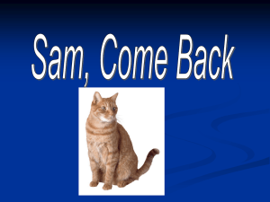 Sam Come Back!1.1