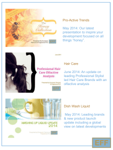 Premium Haircare Review An analysis of the key UK premium salon