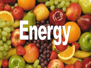 Lesson 14 Energy balance and measurement