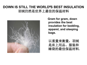羽绒的性能 - IDFL.com