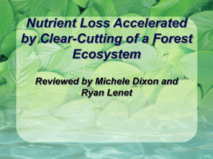 Nutrient Loss Accelerated by Clear