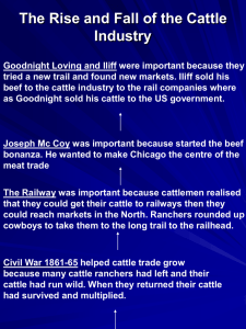 Cattle Industry: Rise and Fall in the US
