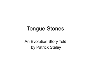 Tongue Stones - Mr Ideahamster