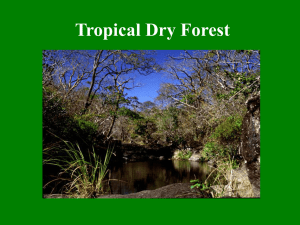 Tropical Dry Forests: Distribution, Climate, and Human Impact