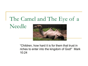 The Camel and the Eye of a Needle: Bible Story & Camel Facts