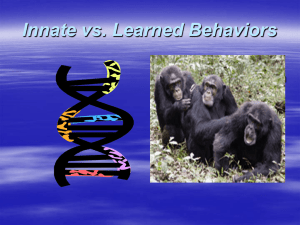 Innate vs. Learned Behaviors: Animal Behavior Presentation