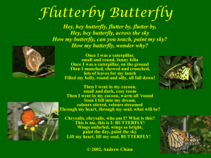 Flutterby Butterfly Poem: Caterpillar to Butterfly