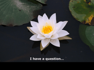 I have a question…
