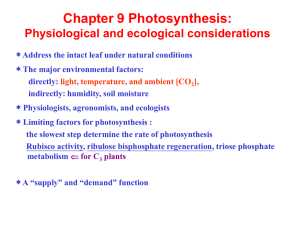 Photosynthesis: Physiological & Ecological Considerations