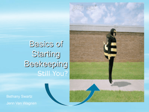 Starting Beekeeping