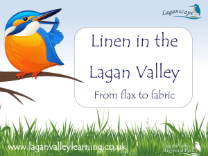 Linen in the Lagan Valley From flax to fabric