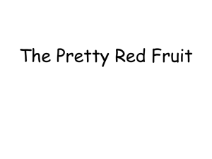 The Pretty Red Fruit