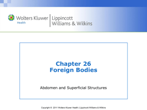 Foreign Body 2013