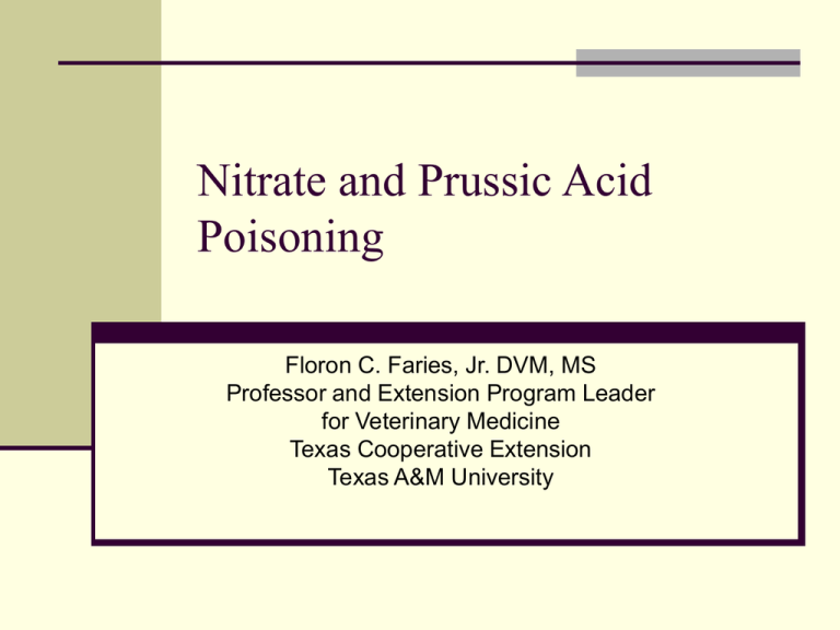 Nitrate and Prussic Acid Poisoning