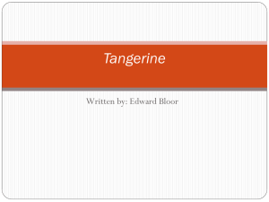 Tangerine by Edward Bloor: Literary Analysis & Activities