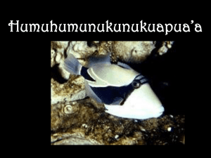 Humuhumunukunukuapua`a - Bulletin Boards for the Music Classroom