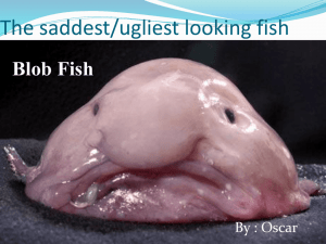 Blobfish: Facts, Habitat, and Conservation