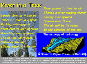 PPT - The Science of Watershed Hydrology