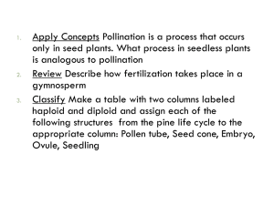 Seed Plant Reproduction: Pollination & Life Cycle