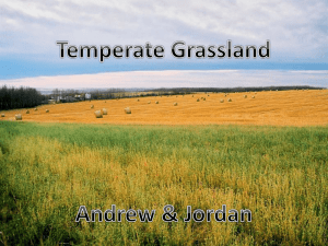 Temperate Grasslands: Biome Overview & Adaptations