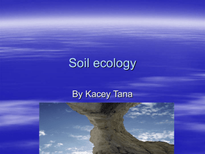 Soil ecology