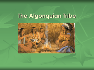 The Algonquin Tribe