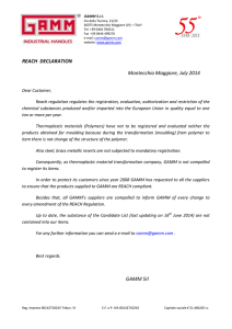 PDF format - Gamm srl