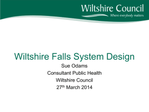 FFF Workshop 27.03.14 Wiltshire SO