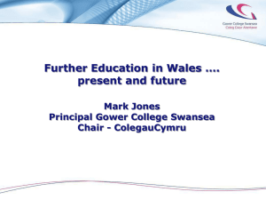 Mark Jones Presentation on FE to National Assembly