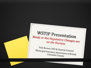 1 - WSTIP Board