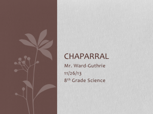 Chaparral Ecosystem: Food Web & Energy Flow