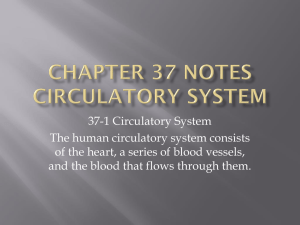 Circulatory & Respiratory Systems Notes - High School Biology
