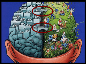 Brain Hemisphere Worksheet: Left vs. Right