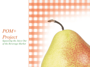 POM+ Project: Beverage Market Strategy & Project Management