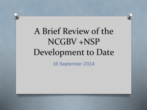 NCGBV & NSP Development Review: South Africa Gender-Based Violence