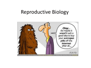 Reproductive System