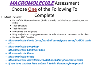 Macromolecule Assessment: Project Ideas & Requirements