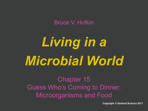 Living in a Microbial World