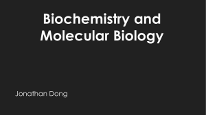 Biochem presentation