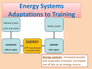 Energy Systems & Training Adaptations: Aerobic & Anaerobic