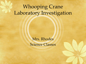 Whooping Crane Lab: Data Analysis & Hatching Success