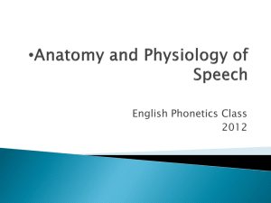 English Phonetics: Speech Production & Articulation