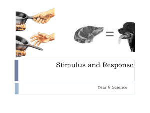 Stimulus and Response: Year 9 Science Presentation