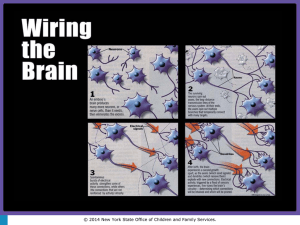 Introduction to Developmental Disabilities Part B(ppt.)