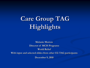What are Care Groups?