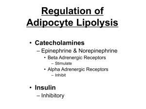 Lipolysis[1] - IHMC Public Cmaps