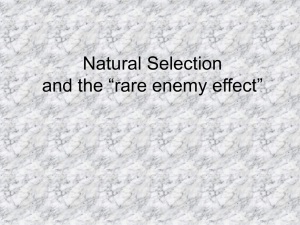 Natural Selection & Rare Enemy Effect: Earthworm Example