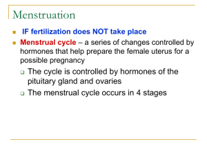 Menstrual Cycle: Stages, Hormones, and Fertilization